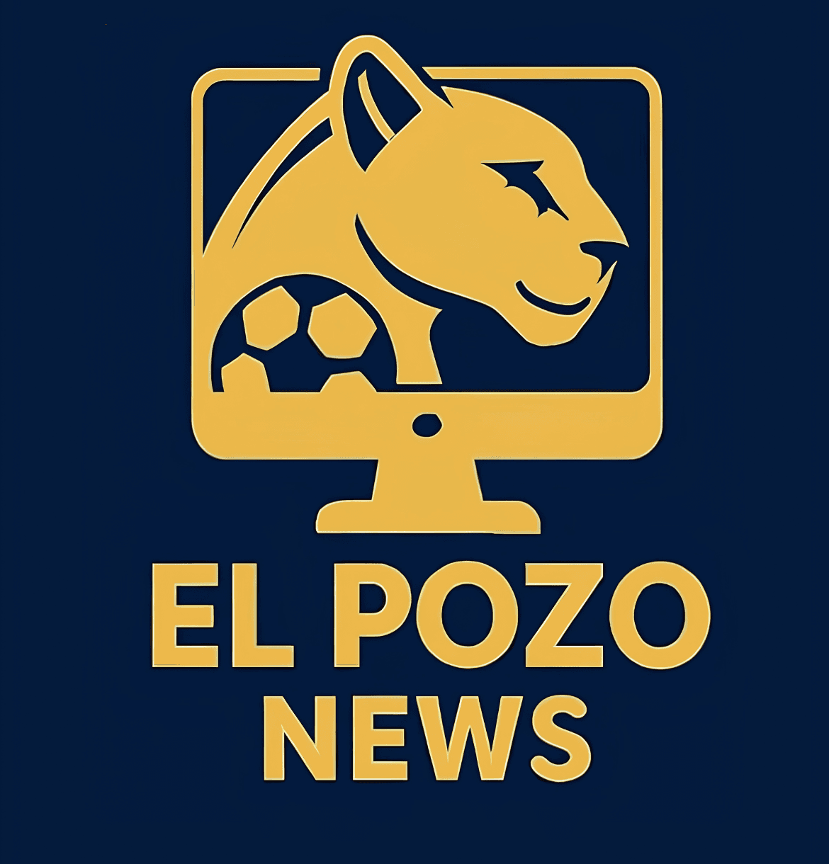 Pozo News