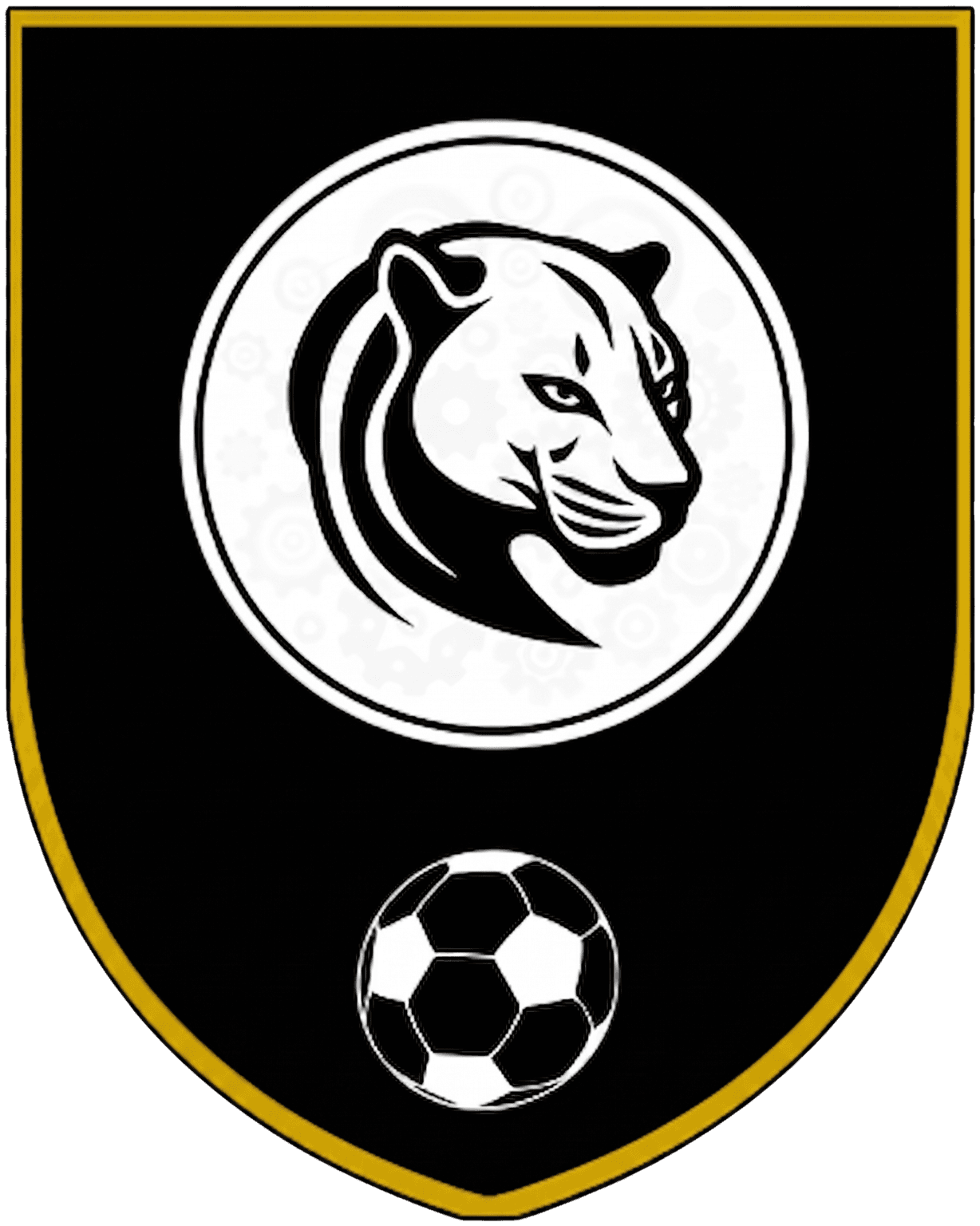 Pozo del Puma